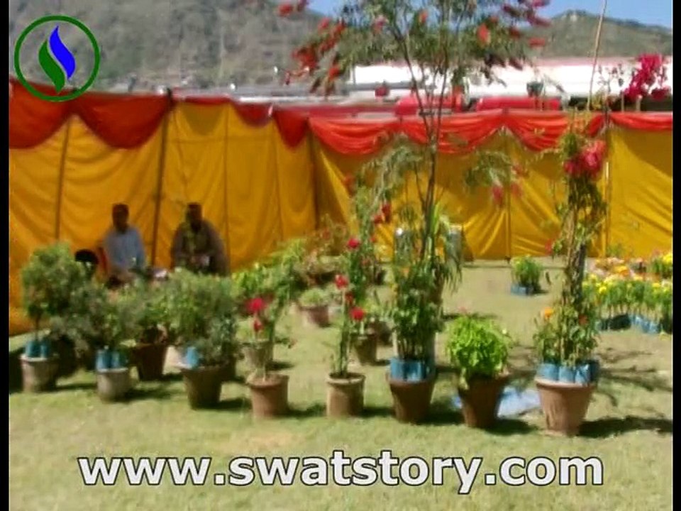 Swat Cricket Stadium Report