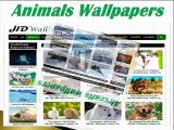 HD Wallpapers | Download New Desktop Full HD Wallpapers