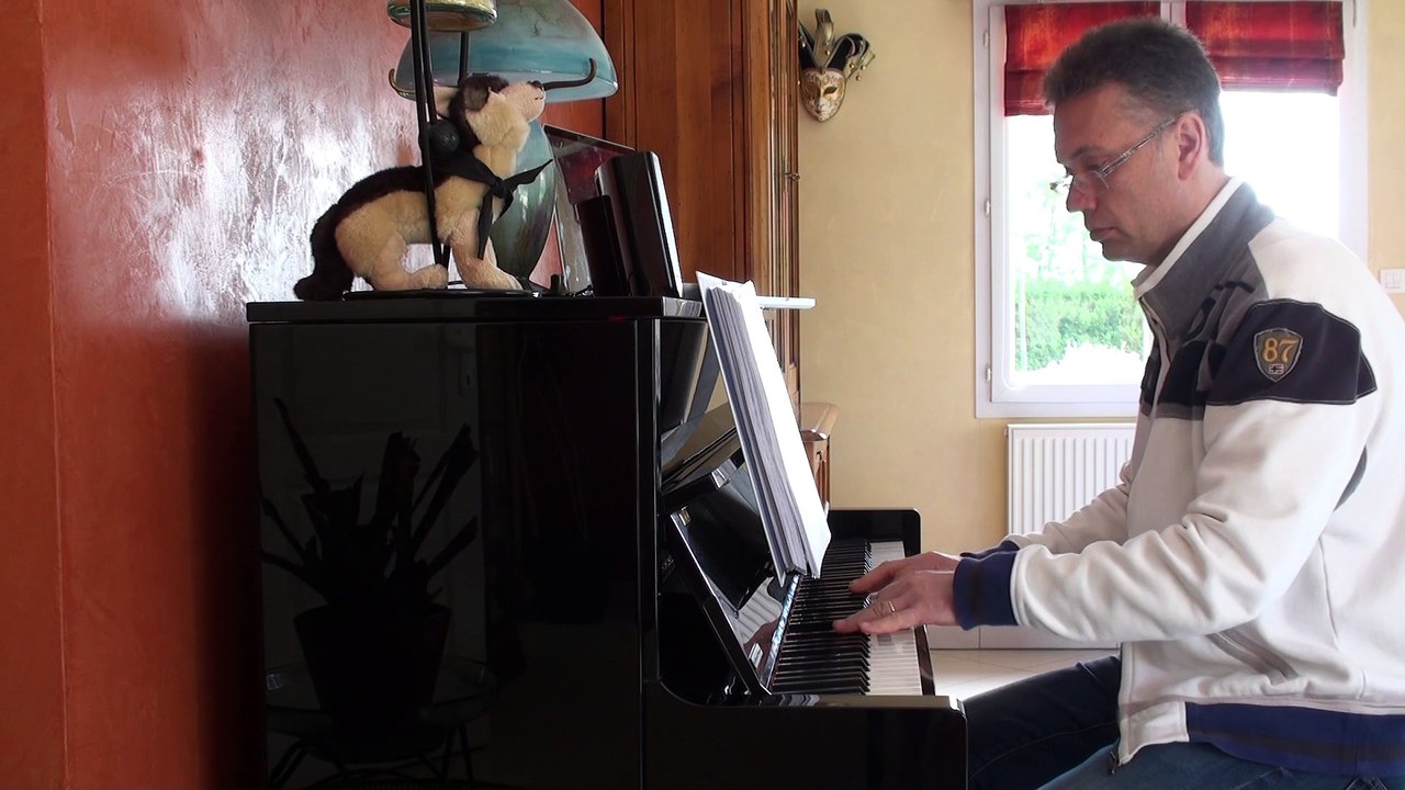 Je suis malade, serge Lama, version piano bar concert