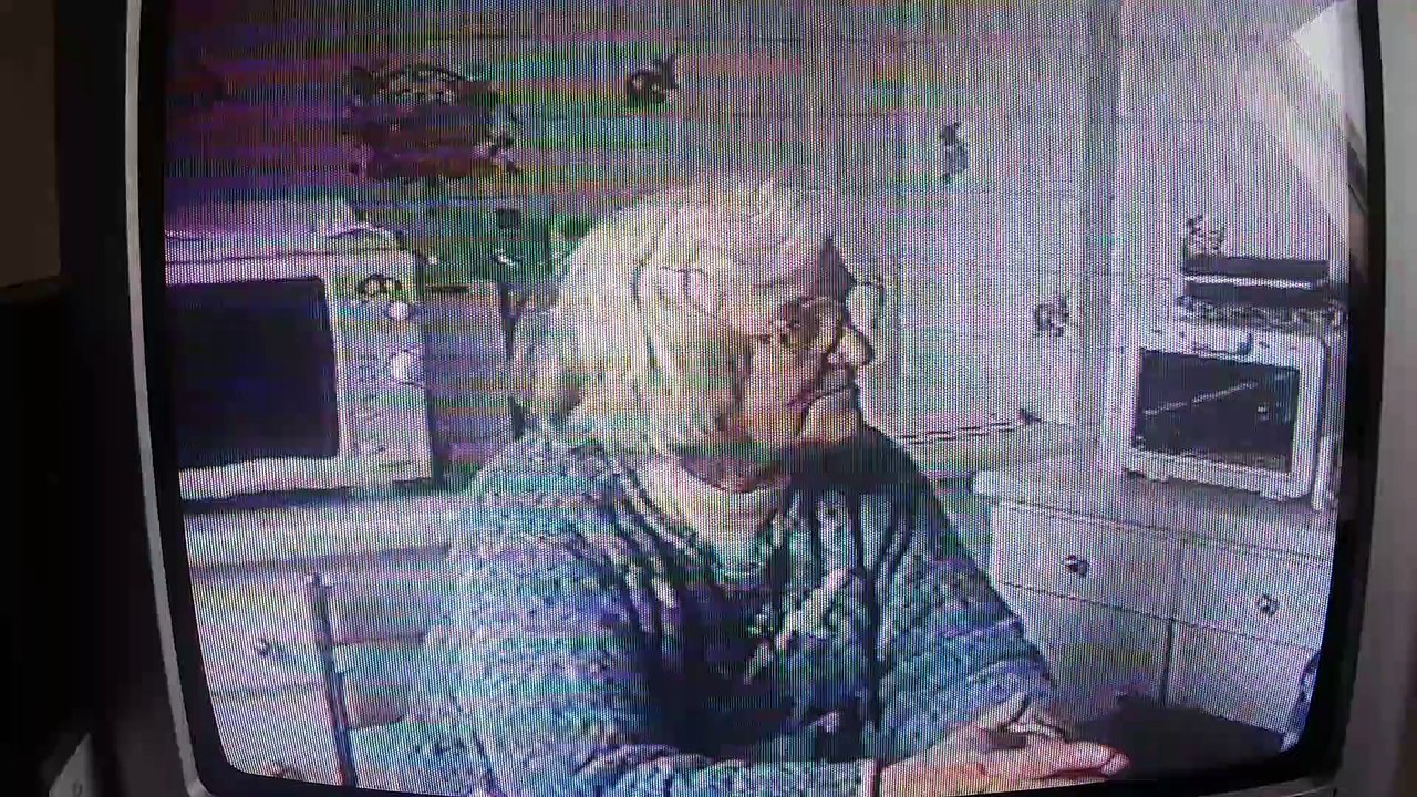 mamie orléans