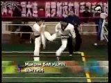 Kyokushin Karate vs Taekwondo