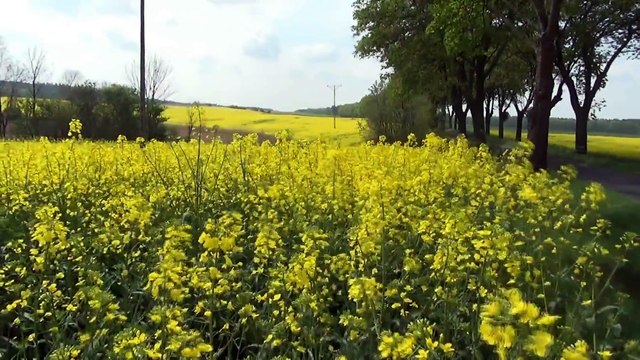 Muzyka Relaksacyjna - FORTEPIANOWY RELAKS