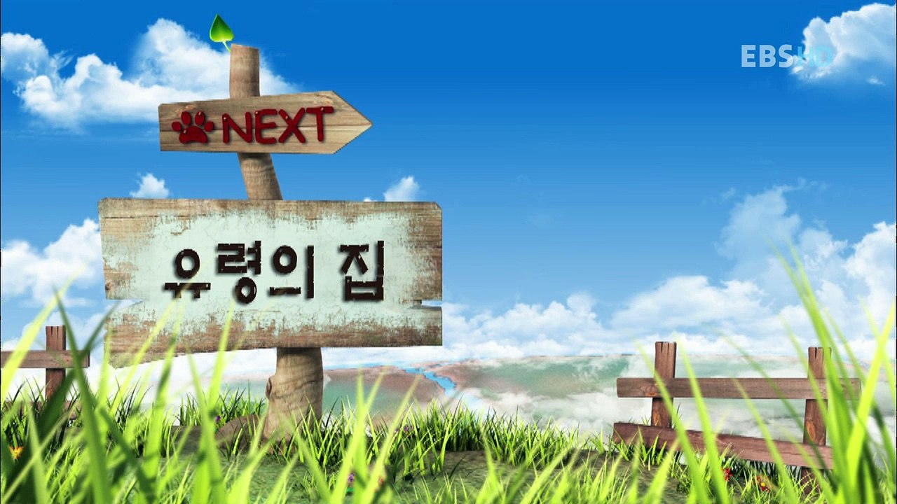 Bernard Bear - Bernard The Polar Bear - Chú Gấu Xui Xẻo - Tập 6