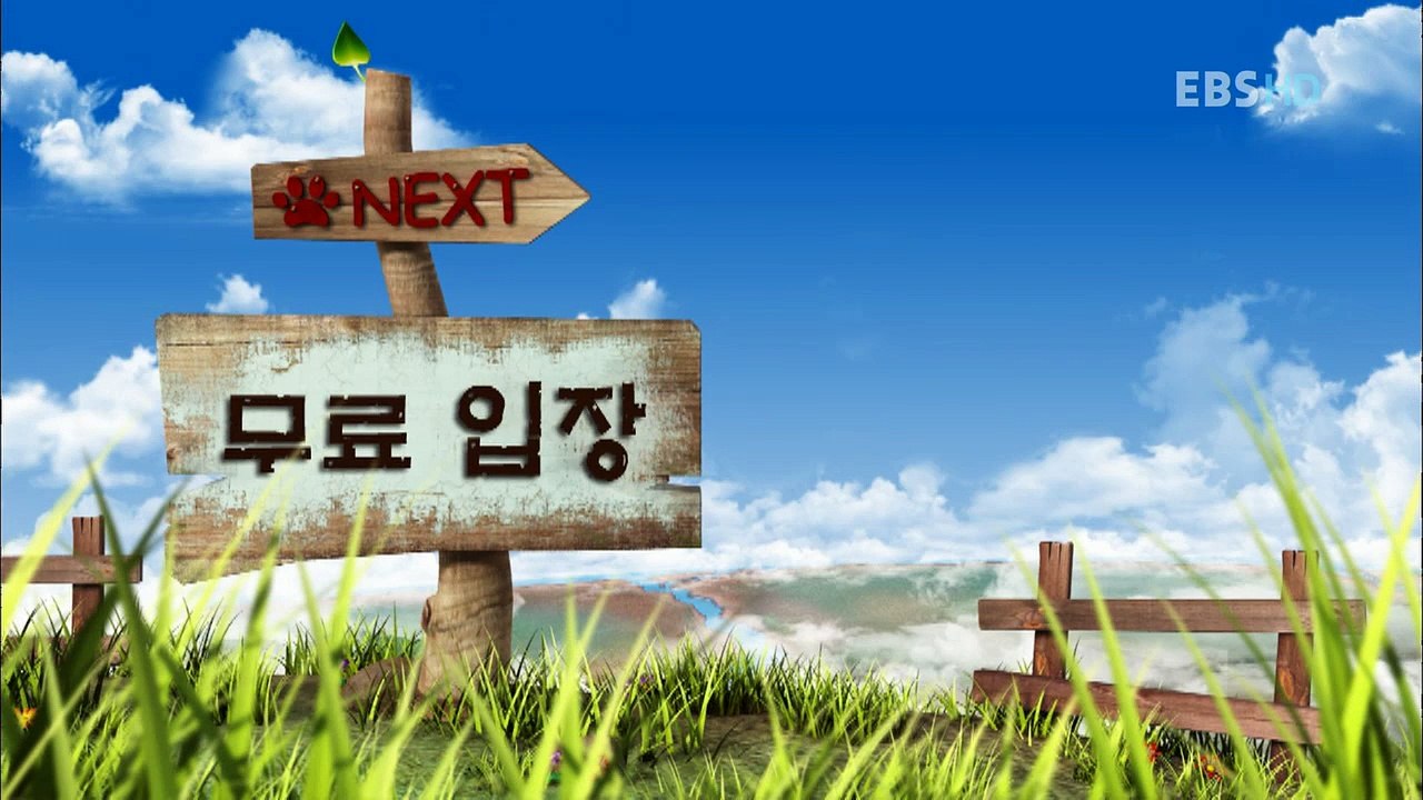 Bernard Bear - Bernard The Polar Bear - Chú Gấu Xui Xẻo - Tập 7