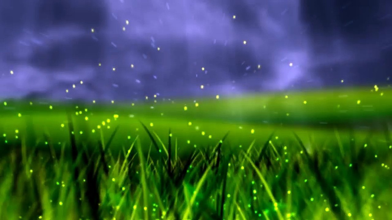 After Effects Project Files - Nature Logo-Cinematic - VideoHive 9207208