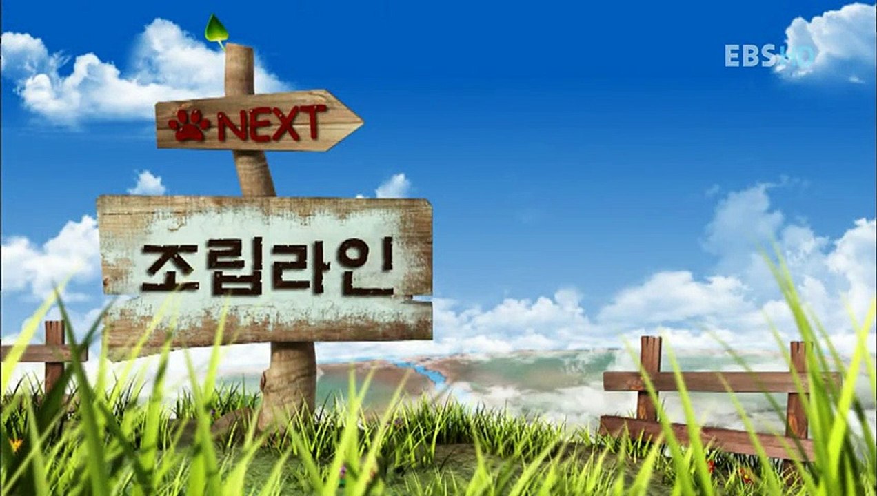 Bernard Bear - Bernard The Polar Bear - Chú Gấu Xui Xẻo - Tập 11