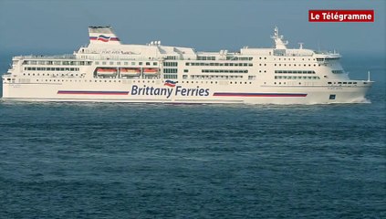 Raz de Sein. Des ferries à l'horizon