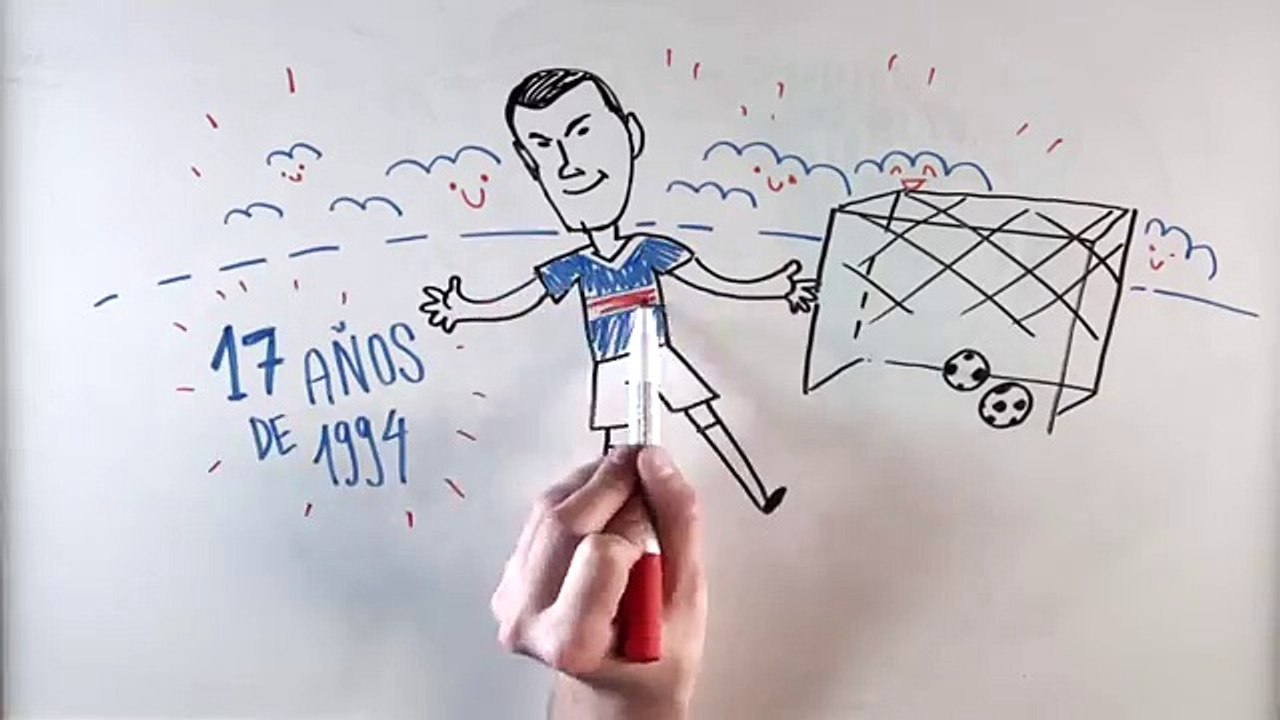 Zidane - Draw My Life