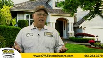 Pest Control Service in Santa Clarita California