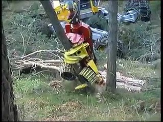 TREE CUTTER