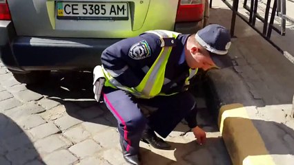 Инспектора ГАИ заставили убрать брошенные на асфальт окурки