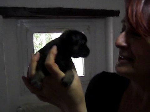 petit brabancon domaine des cotieres