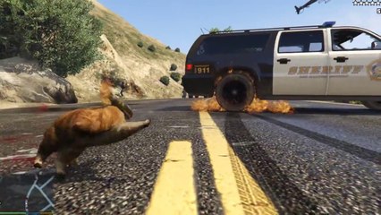 GTA 5 - PC Mods - Cat Rampage
