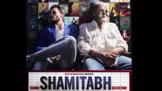Shamitabh Official Trailer Launch - Akshara Hassan Panty Flash Wardrobe Malfunction