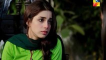 Nikah Episode 17 Full on Hum Tv - April 26