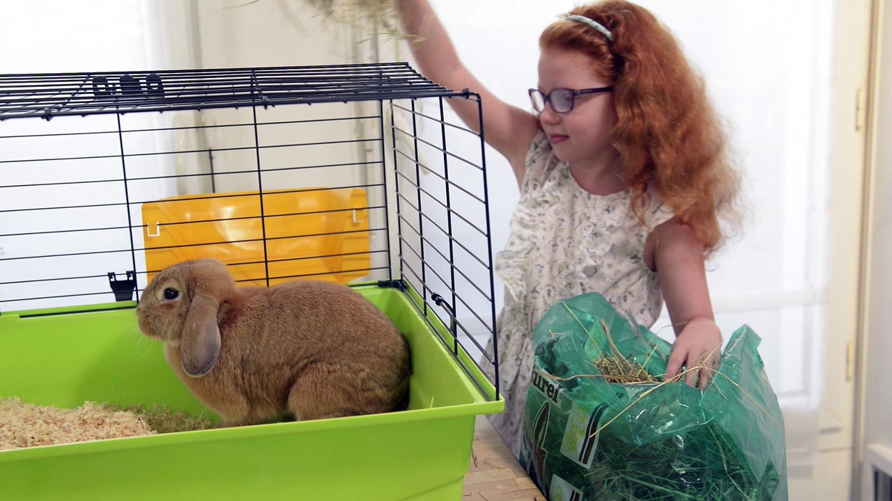 Les Vacances du Lapin