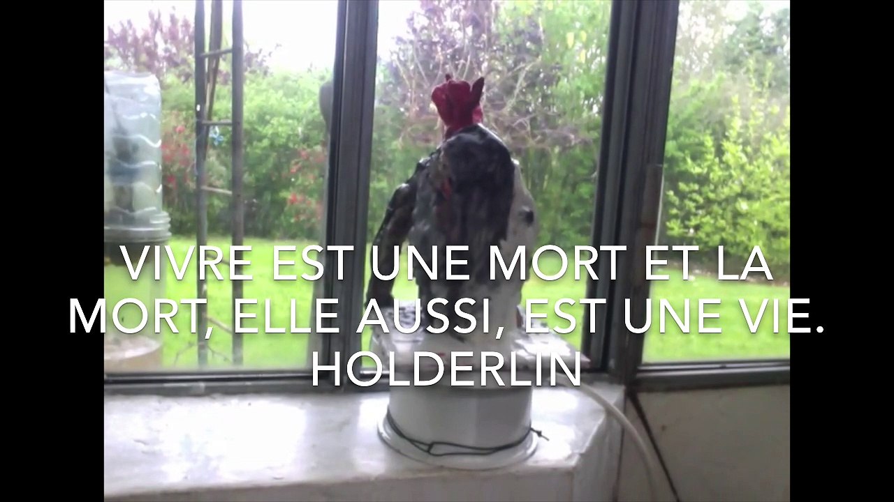 petite cire