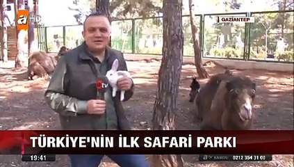 Gaziantep'te açılan Türkiye'nin ilk safari Parkı hizmete girdi