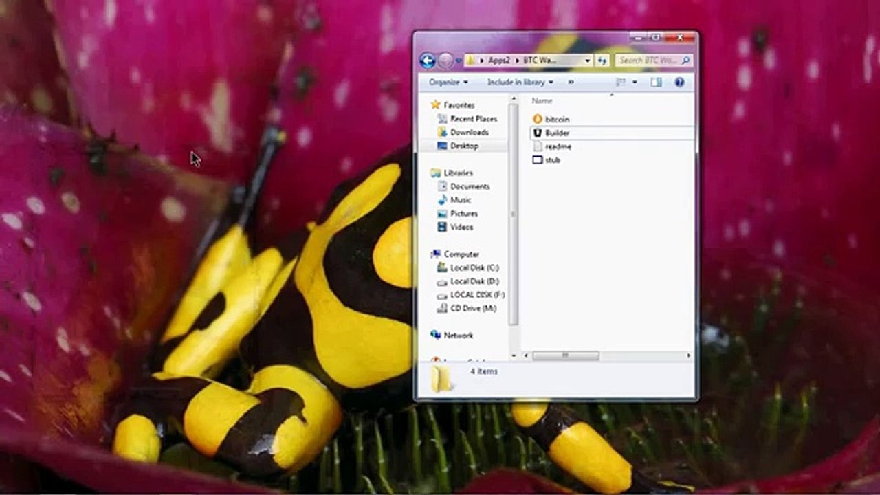 Bitcoin Wallet dat FTP Email Stealer