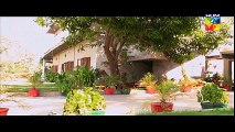 Nikah Episode 17 Full 26 April 2015  HUM TV Drama