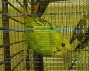 UFUKTEPE  ALARKO KOMBİ SERVİSİ - 0312-279 15 16