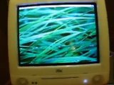 iMac G3 700mhz Snow SE