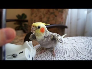 (0312) 279 15 16-Ankara Gölbaşı Baykan Kombi Servisi