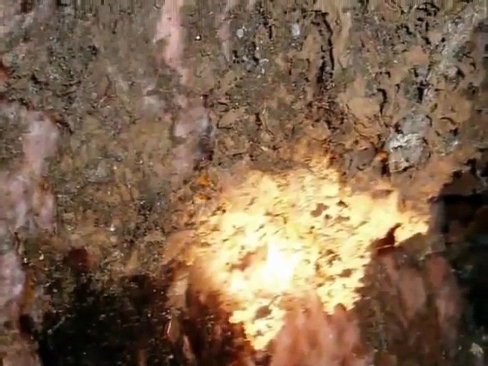 Old House Problem (King of the House, Inc.) Moisture Ants