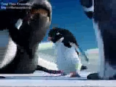 funny Punjabi Clips Penguins talking funny in Punjabi totay