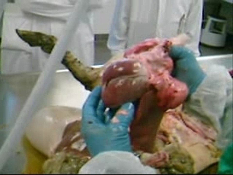 Parasitologie