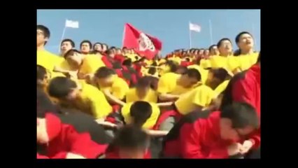 Les meilleurs supporters du monde