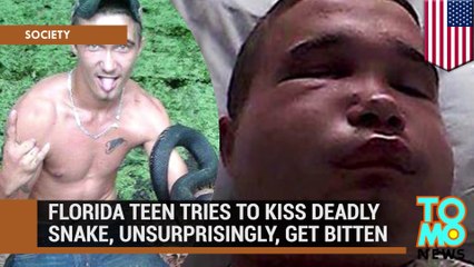 Mordu par un serpent qu'il tentait d'embrasser