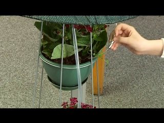 Halk Oylaması Başladı