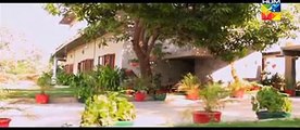 Nikah - Episode 17 - Full episode - HUM TV Drama - 26 April 2015