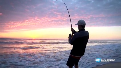 Shark Fishing with Lures from the Beach