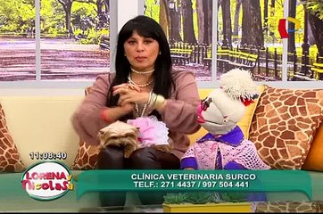 Chi Jau Kay: aprende a cocinar este delicioso platillo oriental