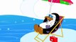 Five Little Penguins - Original Rhymes by LBC - Kids Club Songs - English Nursery Rhymes & ABC Songs for Children