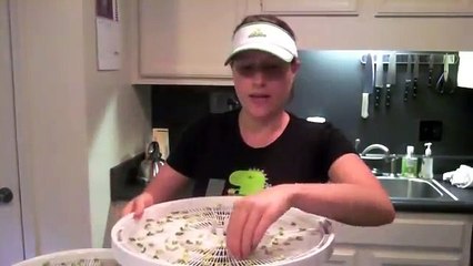 How to Make Celery Salt (Salt-Free Dehydrated Celery)