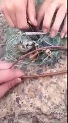 Trapped Snake Thanks It's Rescuers With A Surprise!