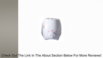 Wax Heater (5.5 oz.) Review