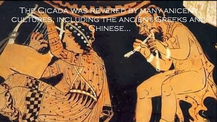 "Cicada 3301"; Finally Explained?