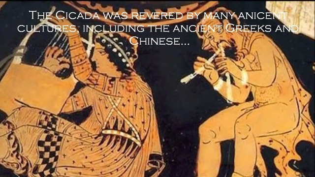 Cicada 3301 ; Finally Explained?