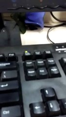 video-616e6051fbd4160736a3e0a45b799f0b6dc7617320dcb89102b5ebfac00f30d4-V.mp4