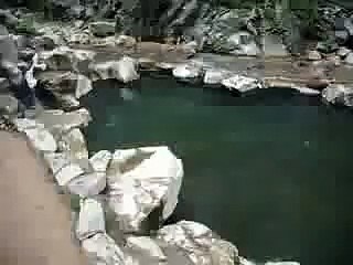Monkey Onsen