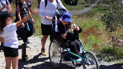 What is cerebral palsy?