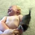 Котенок атакует Kitten attack  Funny Vines هجوم قطه على طفل مشهد مضحك