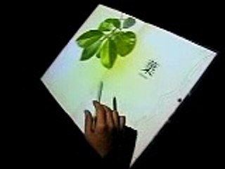 Masaki Fujihata - Beyond Pages, Interactive Enviroment,1995