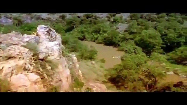 Крокодил съел аборигена