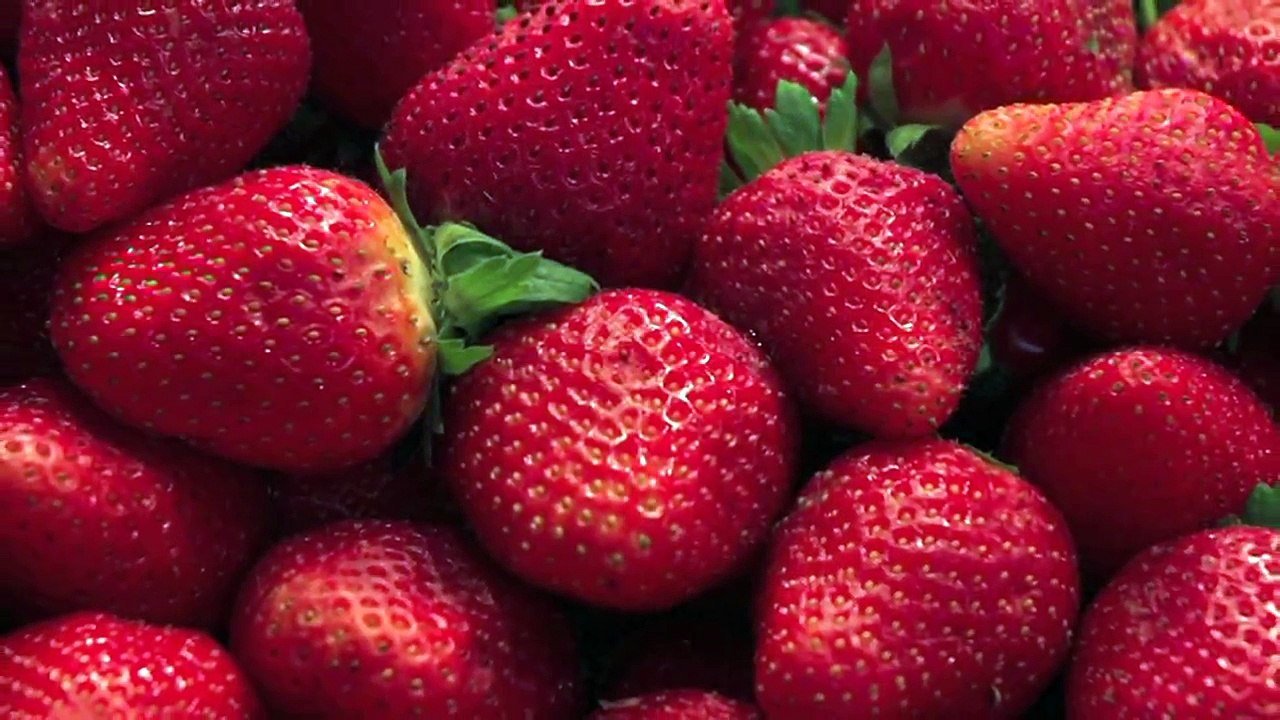 Gardening Tips : How to Grow Strawberries Indoors