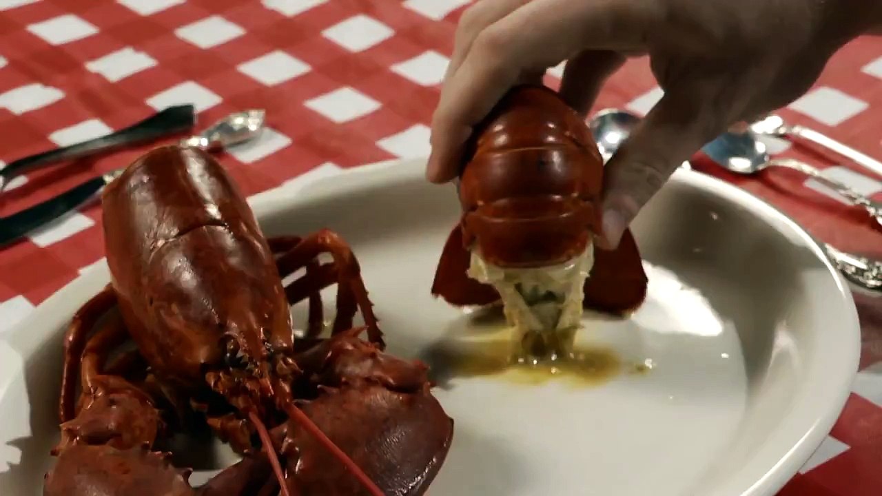 You Are An Upside-Down Lobster